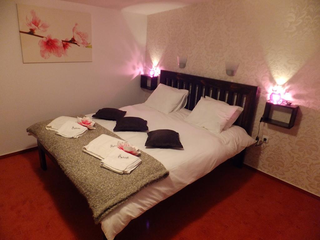 Bansko Prespa Ski Penthouse Номер фото
